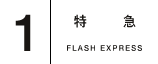 FLASH Site